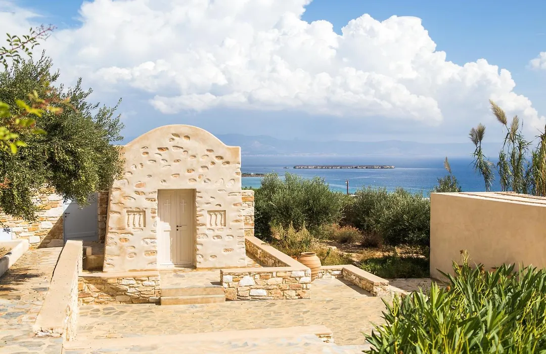 Calme Boutique Hotel - Adults Only-1